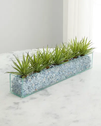 T & C Floral Company Agave In Rectangular Glass Container Faux Floral Arrangement In Dark Green Agave