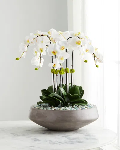 T & C Floral Company Concrete Bowl Filled With Flourite & White Orchids
