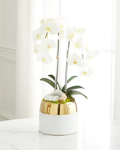 T & C Floral Company Double Orchid Faux Floral In Gold-rimmed Ceramic Container - 22" In Green
