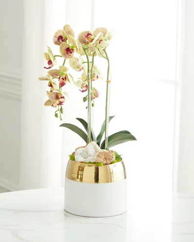 T & C Floral Company Double Orchid Faux Floral In Gold-rimmed Ceramic Container - 22" In White