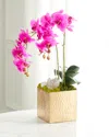 T & C Floral Company Double Orchid Faux Florals In Gold Hammered Metal Container With Quartz - 22" In Fuschia