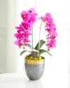 T & C Floral Company Double Orchid Faux Florals In Gold-rimmed Ceramic Pot With Zebra Stone - 22" In Fuschia