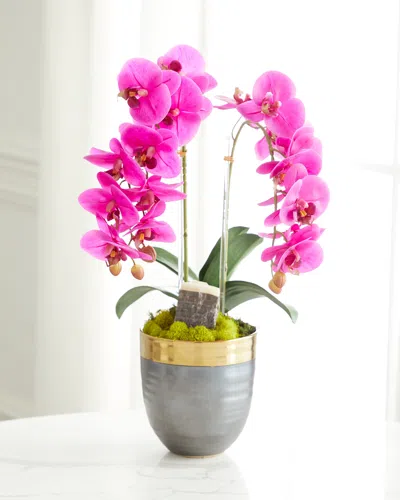 T & C Floral Company Double Orchid Faux Florals In Gold-rimmed Ceramic Pot With Zebra Stone - 22" In Fuschia
