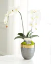T & C Floral Company Double Orchid Faux Florals In Gold-rimmed Ceramic Pot With Zebra Stone - 22" In White