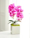 T & C Floral Company Double Orchid Faux Florals In Silver Hammered Metal Container With Zebra Stone - 22" In Fuschia