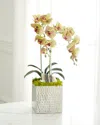 T & C Floral Company Double Orchid Faux Florals In Silver Hammered Metal Container With Zebra Stone - 22" In Green