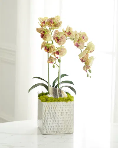 T & C Floral Company Double Orchid Faux Florals In Silver Hammered Metal Container With Zebra Stone - 22" In Green