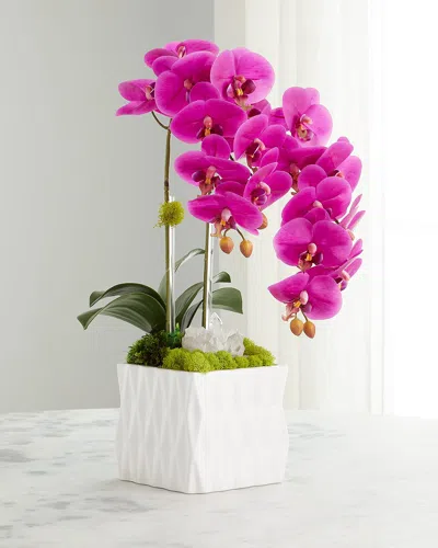 T & C Floral Company Double Orchid Quartz Faux Floral Arrangement In White Ceramic Vase In Fuschia