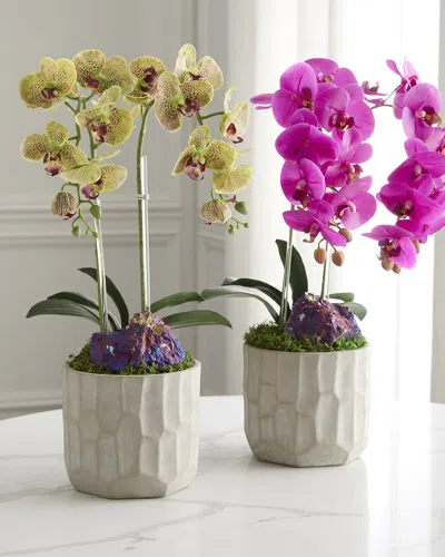 T & C Floral Company Double Orchid With Peacock Ore 22" Faux Floral Arrangement In Concrete Pot In Multi