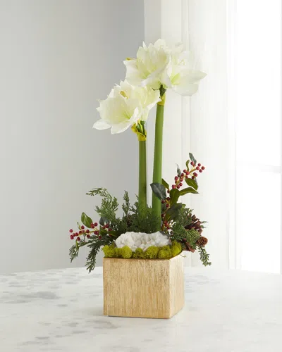 T & C Floral Company Double Red Amaryllis Faux-floral Arrangement In White