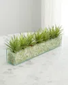 T & C Floral Company Faux Agave In Rectangular Glass Vase With Crushed Green Calcite In Dark Green Agave