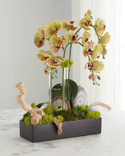 T & C Floral Company Faux Orchids In Rectangular Black Ceramic With Agate Slabs In Green