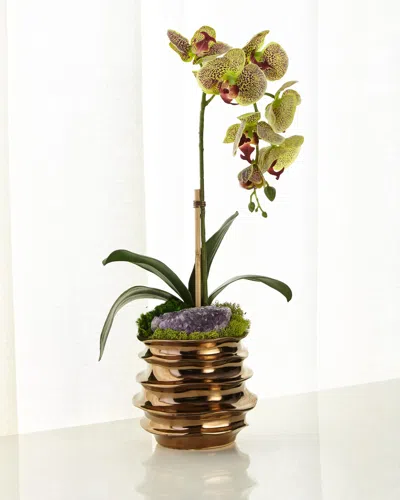 T & C Floral Company Green Orchid With Amethyst In Contemporary Pot
