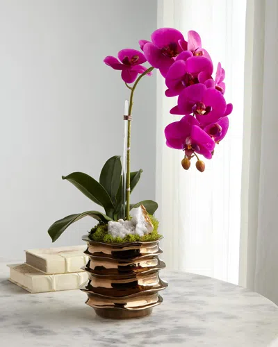 T & C Floral Company Green Orchid With Amethyst In Contemporary Pot In Fuchsia