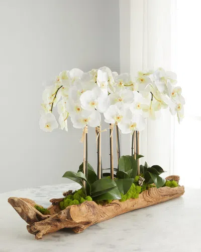 T & C Floral Company Log Filled With Faux White Orchids