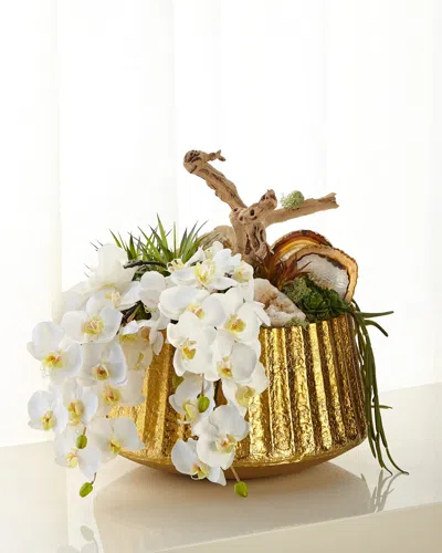 T & C Floral Company Orchid In Etched Container In White/gold