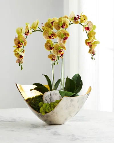 T & C Floral Company Orchids & Geode In Silver/gold Scoop Container In Green