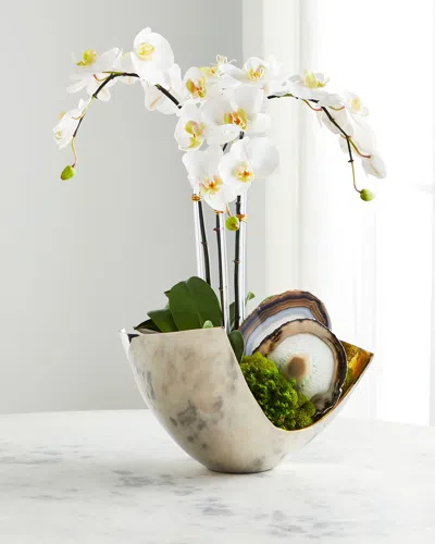 T & C Floral Company Orchids & Geode In Silver/gold Scoop Container In White