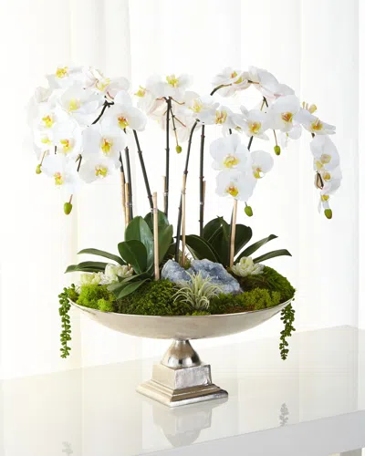 T & C Floral Company Orchids & Succulents Faux Floral Arrangement In White