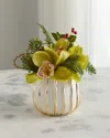 T & C Floral Company Pave Christmas Orchids In Green