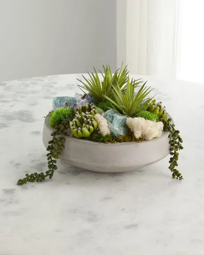 T & C Floral Company Succulents In Concrete Bowl In Animal Print