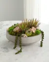 T & C Floral Company Succulents In Concrete Bowl In Red Calcite