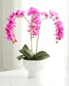 T & C Floral Company Triple Orchid Faux Florals In White Ceramic Pot With Selenite - 23" In Fuschia