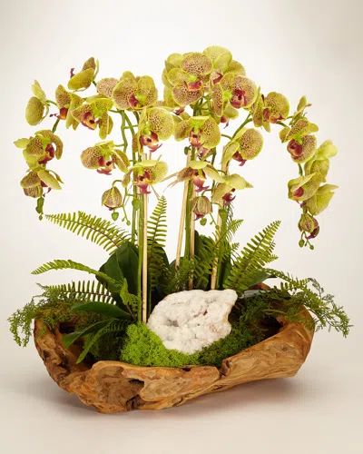T & C Floral Company White Orchid Faux-floral Arrangement In Wooden Bowl In Green