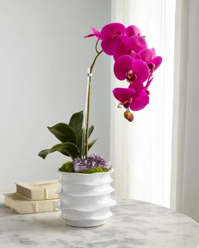 T & C Floral Company White Orchid In Contemporary Pot In Fuchsia