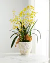T & C Floral Company Yellow Dancing Orchids Arrangement
