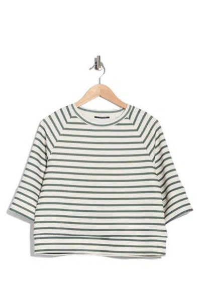T Tahari Scuba Knit Sweatshirt In Ivory/ Green Smoke Stripe