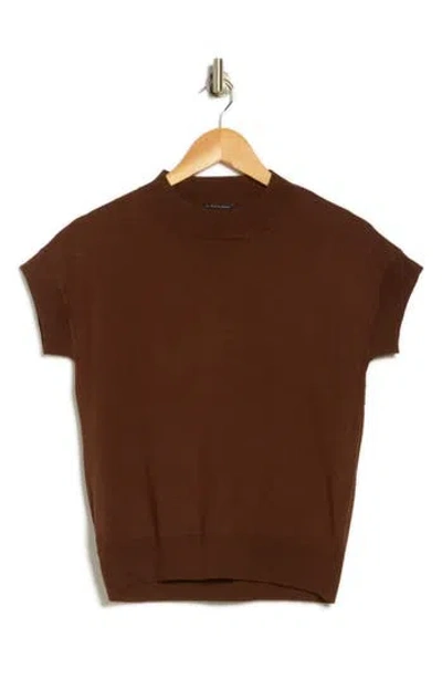T Tahari Short Sleeve Crew Sweater In Brown