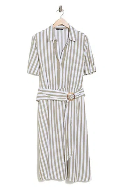 T Tahari Stripe Belted Shirtdress In Olive/white Stripe