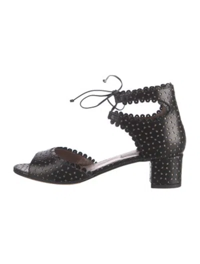 Pre-owned Tabitha Simmons Leather Lace Pattern Sandals In Black