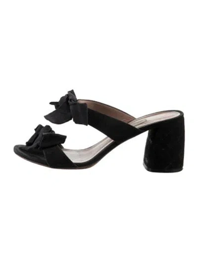 Pre-owned Tabitha Simmons Suede Bow Accents Sandals In Black