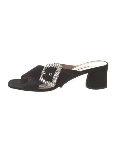 Pre-owned Tabitha Simmons Suede Crystal Embellishments Slides In Black