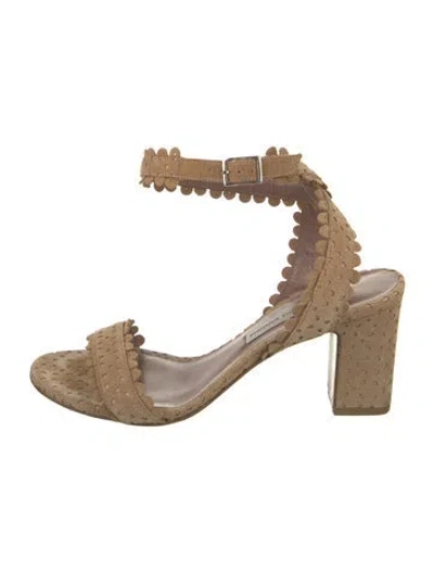 Pre-owned Tabitha Simmons Suede Lace Pattern Sandals In Neutrals