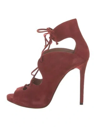Pre-owned Tabitha Simmons Suede Pumps In Burgundy