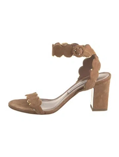 Pre-owned Tabitha Simmons Suede Sandals In Brown/neutrals