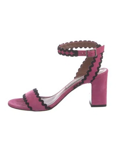 Pre-owned Tabitha Simmons Suede Scalloped Accent Sandals In Black/pink