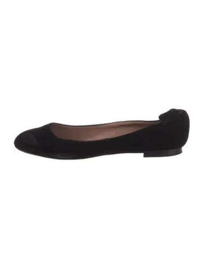 Pre-owned Tabitha Simmons Velvet Ballet Flats In Black