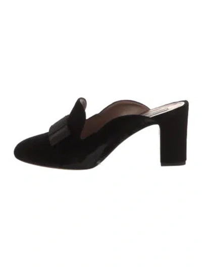 Pre-owned Tabitha Simmons Velvet Bow Accents Mules In Black