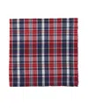 Tableau Taylor Plaid Napkin, Set Of 4 In Multi