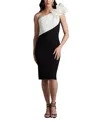 Tadashi Shoji One-shoulder Two-tone Taffeta & Crepe Dress In Black/ivory