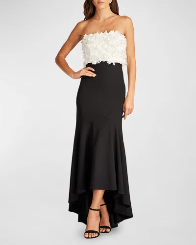 Tadashi Shoji 3d Floral Applique-bodice Gown In Ivory/black