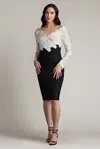Tadashi Shoji Two-tone Floral Lace Illusion Dress In Multi