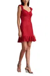 Tadashi Shoji Brely Lace Mini Dress