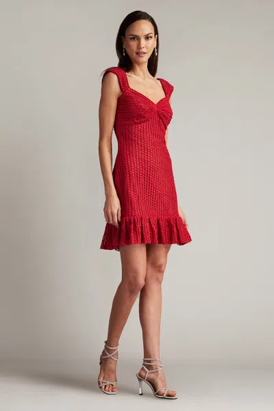 Tadashi Shoji Brely Lace Mini Dress In Red