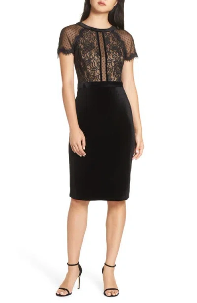 Tadashi Shoji Lace & Velvet Dress In Black