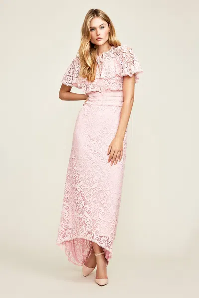 Tadashi Shoji Official Online Boutique Aileen High-low Lace Gown In Blue